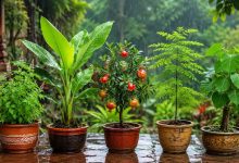 सावन में लगाएं ये 5 पौधे, घर में आएगी सुख-समृद्धि और सकारात्मक ऊर्जा सावन में लगाएं ये 5 पौधे, घर में आएगी सुख-समृद्धि और सकारात्मक ऊर्जा