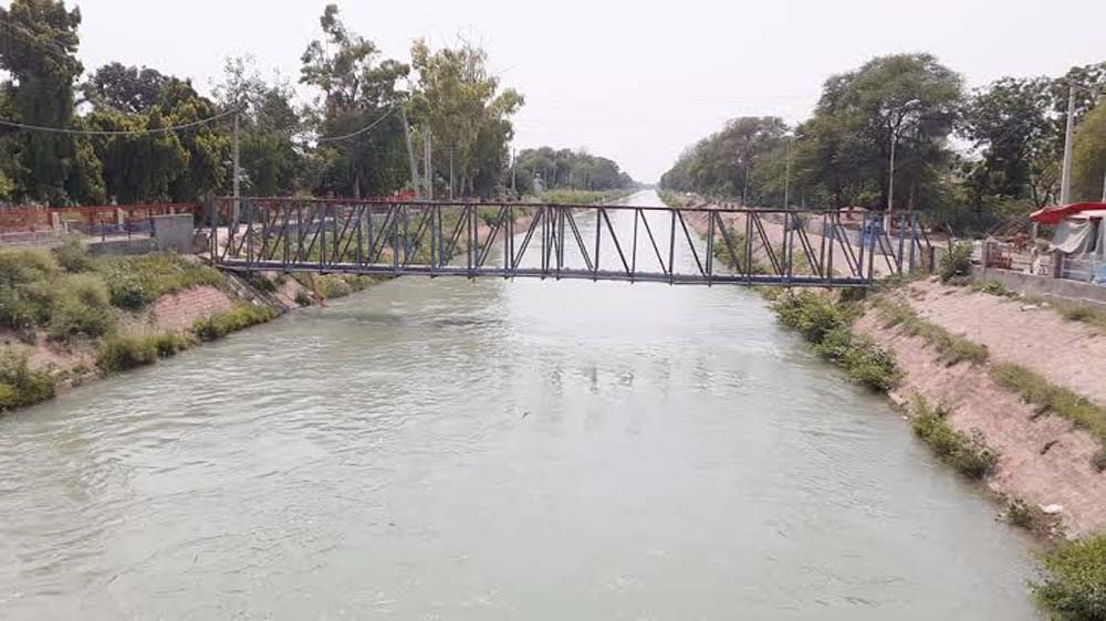 सतलुज के पानी से हरियाणा में आई हरित क्रांति, 14,800 किमी नहर नेटवर्क ने बदली तस्वीर