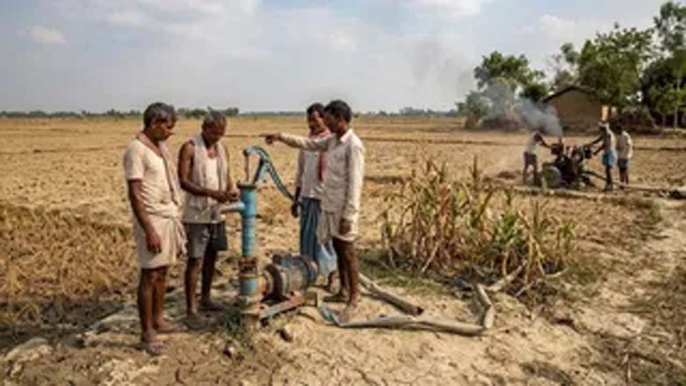 IMD पूर्वानुमान के बाद कृषि विभाग सक्रिय, धान की कम अवधि वाली किस्में अपनाने की अपील IMD पूर्वानुमान के बाद कृषि विभाग सक्रिय, धान की कम अवधि वाली किस्में अपनाने की अपील