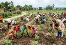 'एक पेड़ मां के नाम' अभियान को बढ़ावा, स्वतंत्रता दिवस पर हर जिले में लगेंगे 150 पौधे 'एक पेड़ मां के नाम' अभियान को बढ़ावा, स्वतंत्रता दिवस पर हर जिले में लगेंगे 150 पौधे