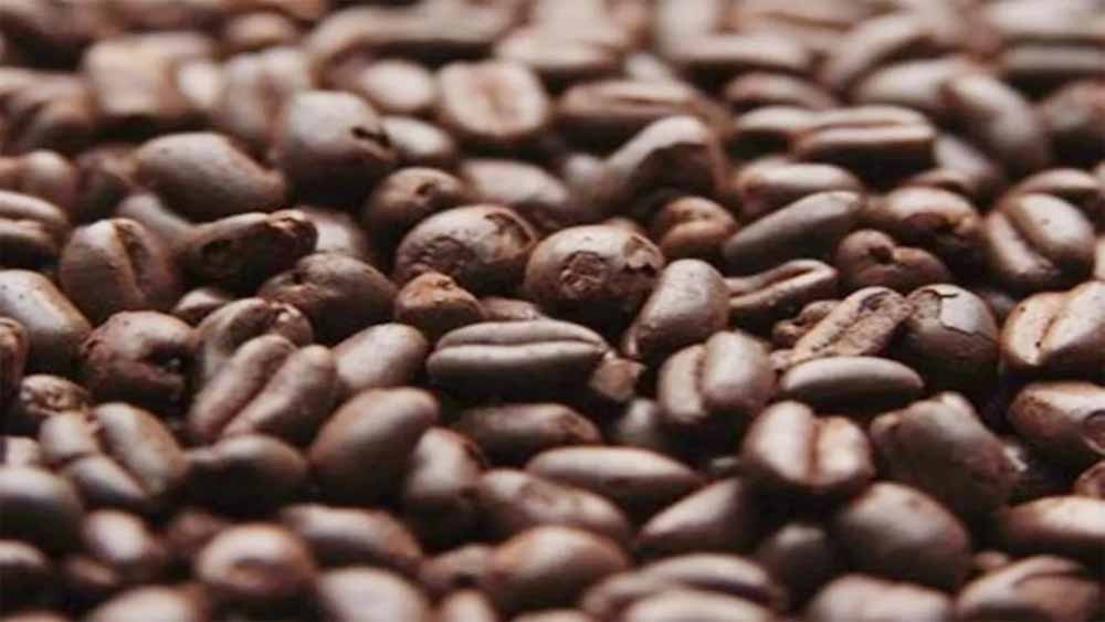 छत्तीसगढ़ के अबूझमाड़ में कॉफी मिशन की तैयारी, अधिकारियों को ओडिशा भेजा जाएगा ट्रेनिंग के लिए