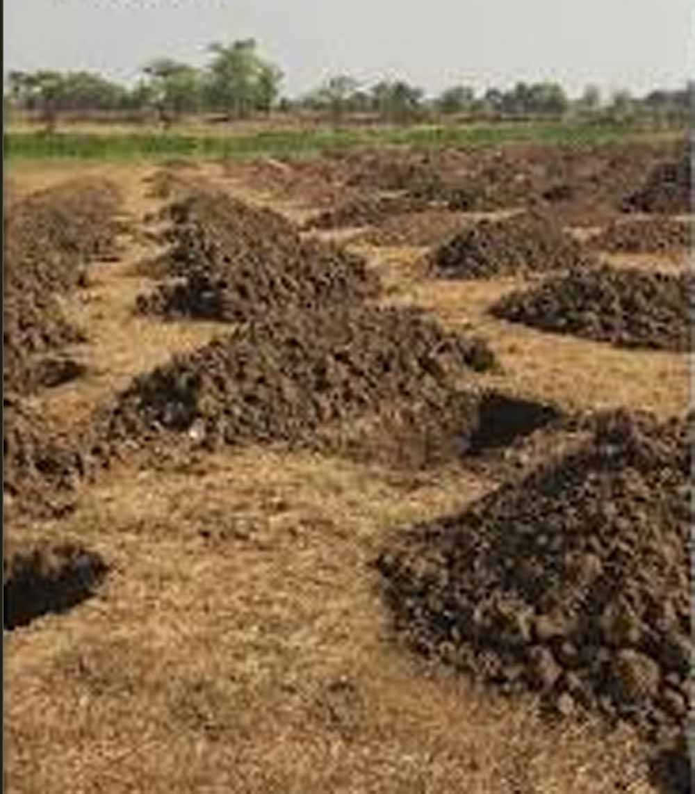 छत्तीसगढ़ में वर्षा जल संचयन को बढ़ावा, 54 हजार से ज्यादा सोख्ता गड्ढों का निर्माण