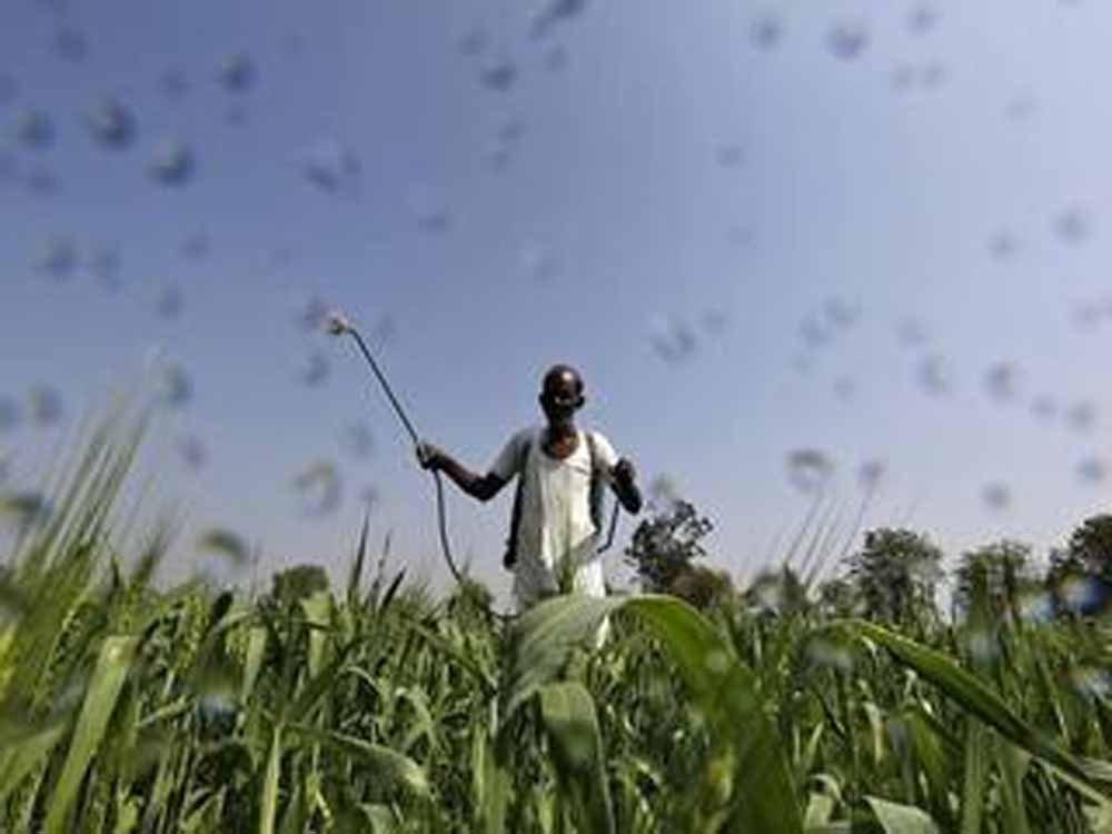 जगदीशपुर में होने वाली केबिनेट में किसानों को की जाएगी राशि अंतरित