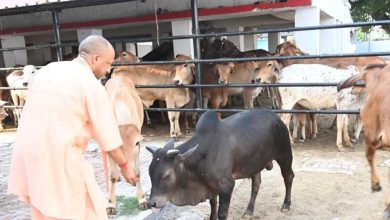 अब प्रतियोगिता से निखरेंगी गोशालाएं, उत्कृष्ट मॉडल को मिलेगा पुरस्कार