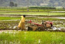 रिकॉर्ड खाद-बीज और ऋण वितरण से मिली नई रफ्तार