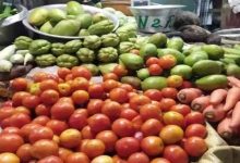 350 पंचायतों में बनेंगे सब्जी संग्रहण केंद्र, बिहार सरकार ने मंजूर किए 106 करोड़ रुपये