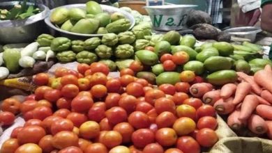 350 पंचायतों में बनेंगे सब्जी संग्रहण केंद्र, बिहार सरकार ने मंजूर किए 106 करोड़ रुपये