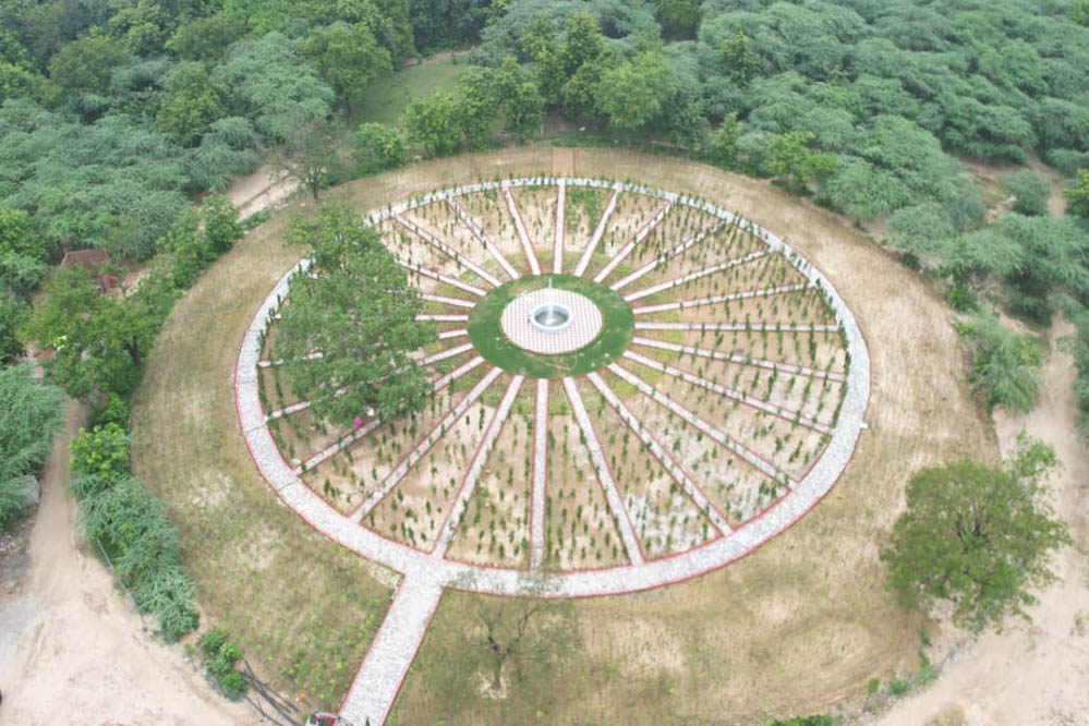 योगी सरकार स्वतंत्रता दिवस (15 अगस्त) पर सभी जिलों में कराएगी स्थापना, लगेंगे 'एक पेड़ मां के नाम'