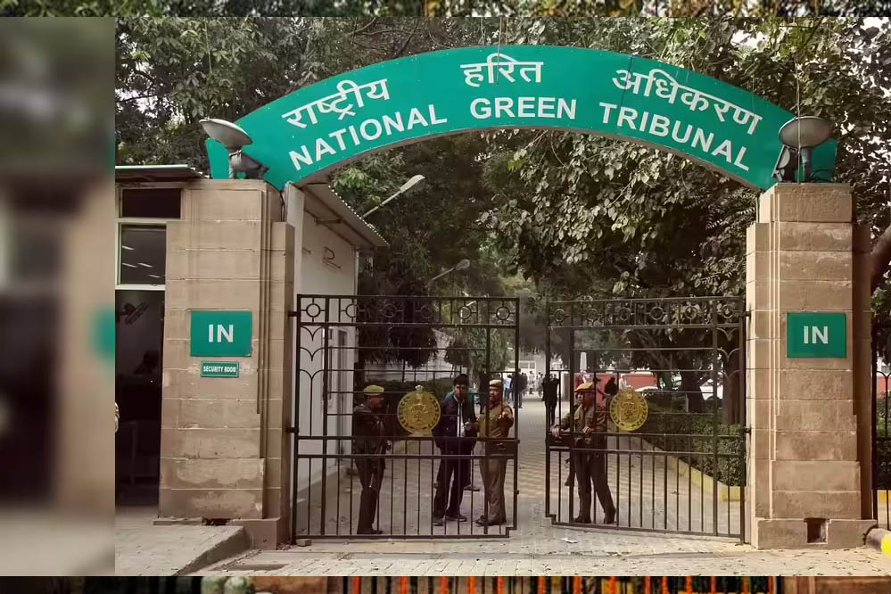 सीवेज कनेक्शन के नाम पर 17 लाख वसूले, 24 साल तक नहीं बिछी लाइन; NGT ने लगाई फटकार