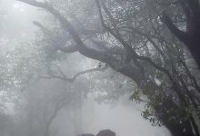 WMO रिपोर्ट का दावा, हिंद महासागर का पैटर्न बचा सकता है बारिश