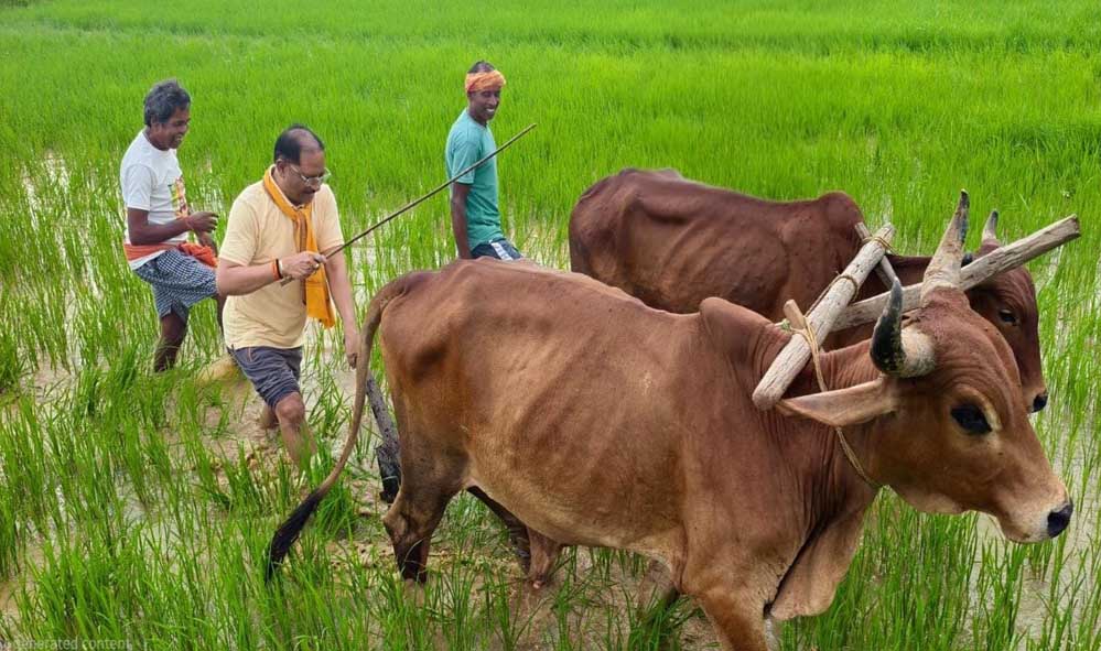 मुख्यमंत्री ने कहा - किसान परिवार से होने के नाते खेती मेरे लिए केवल आजीविका नहीं, जीवन का संस्कार मुख्यमंत्री ने कहा - किसान परिवार से होने के नाते खेती मेरे लिए केवल आजीविका नहीं, जीवन का संस्कार