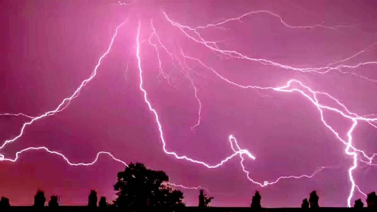धान रोपाई के दौरान गिरी आकाशीय बिजली, बिहार में आठ लोगों की दर्दनाक मौत धान रोपाई के दौरान गिरी आकाशीय बिजली, बिहार में आठ लोगों की दर्दनाक मौत