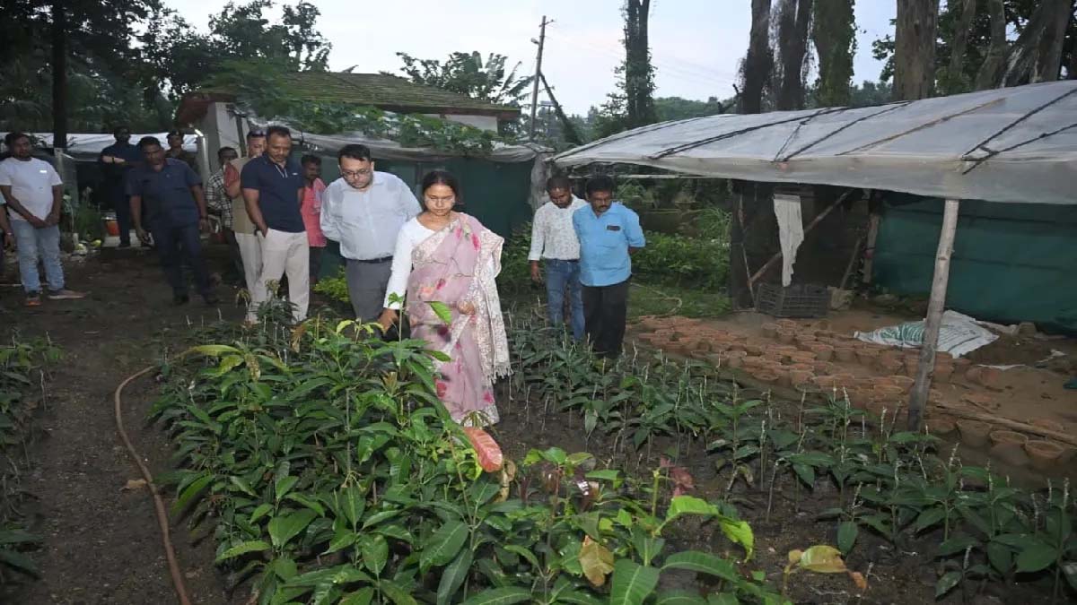 झारखंड में चाय-कॉफी खेती की शुरुआत, डेमोटांड फार्म बनेगा कृषि मॉडल