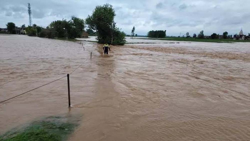 रायपुररानी में टांगरी का कहर, खेतों के बाद खटौली-खेड़ी सड़क भी नदी में बही रायपुररानी में टांगरी का कहर, खेतों के बाद खटौली-खेड़ी सड़क भी नदी में बही