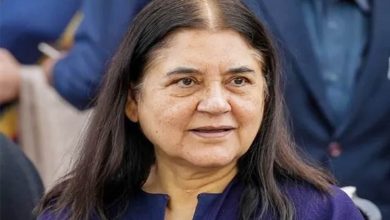 51 साल पुराने भूमि विवाद में मेनका गांधी को झटका, अरबों की 522 एकड़ जमीन पर बड़ा फैसला 51 साल पुराने भूमि विवाद में मेनका गांधी को झटका, अरबों की 522 एकड़ जमीन पर बड़ा फैसला