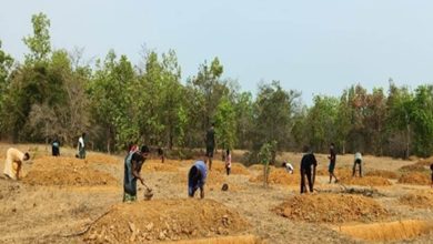 मनरेगा ने बदली निम्मलगुड़ा की तस्वीर, 500 जल अवशोषण ट्रेंच से बढ़ा भू-जल स्तर और मिला रोजगार