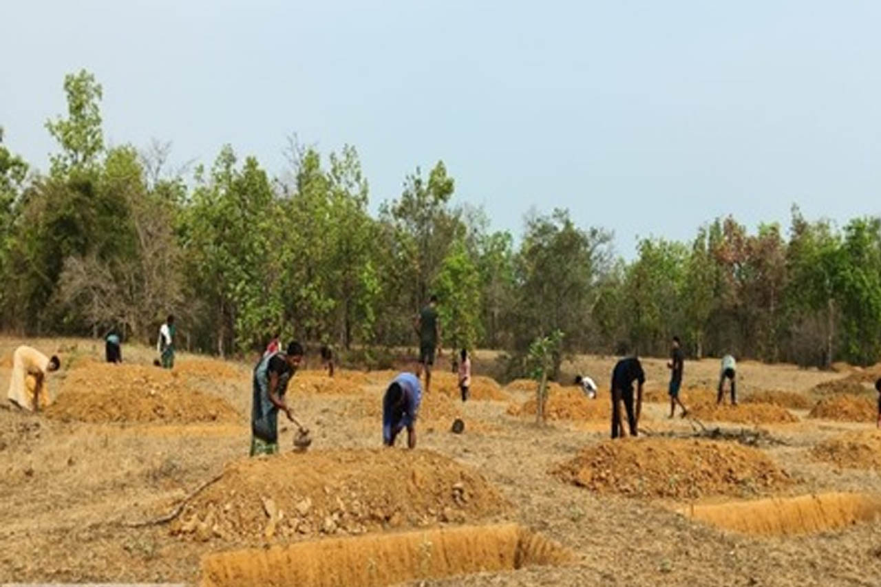 मनरेगा ने बदली निम्मलगुड़ा की तस्वीर, 500 जल अवशोषण ट्रेंच से बढ़ा भू-जल स्तर और मिला रोजगार
