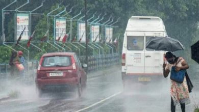 मध्य प्रदेश में फिर बदला मौसम, कई जिलों में बारिश की वापसी; IMD ने जारी की नई चेतावनी मध्य प्रदेश में फिर बदला मौसम, कई जिलों में बारिश की वापसी; IMD ने जारी की नई चेतावनी