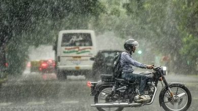 पंजाब में मानसून फिर सक्रिय, छह जिलों में भारी बारिश की चेतावनी; गर्मी और उमस होगी कम