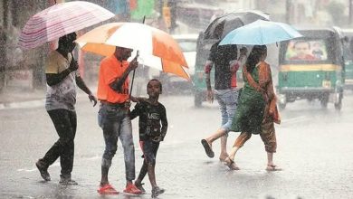मध्य प्रदेश में मानसून की रफ्तार सुस्त, बारिश का आधा कोटा भी पूरा नहीं; 42 जिलों में कम बरसात