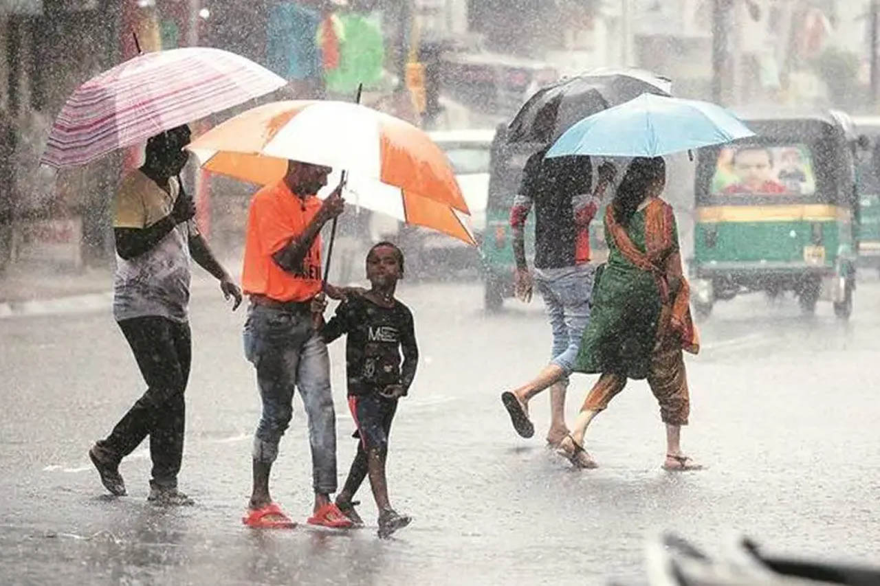 मध्य प्रदेश में मानसून की रफ्तार सुस्त, बारिश का आधा कोटा भी पूरा नहीं; 42 जिलों में कम बरसात मध्य प्रदेश में मानसून की रफ्तार सुस्त, बारिश का आधा कोटा भी पूरा नहीं; 42 जिलों में कम बरसात