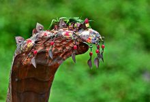 हर-हर महादेव से गूंजा बिहार, नाग पंचमी पर शिव पूजा और लोक परंपराओं का दिखा अद्भुत संगम