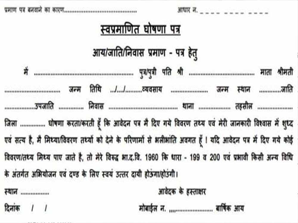 दुर्ग में जाति प्रमाण पत्र जांच पर बड़ा फैसला, 115 आवेदन हुए निरस्त
