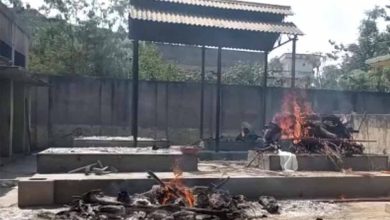 मुक्तिधाम में कुत्तों का अंतिम संस्कार कराने पर कार्रवाई, Bilaspur में टास्क कर्मी हटाया
