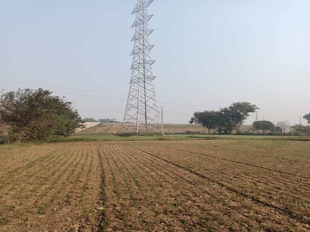 Rewa News: 88 घंटे की भूख हड़ताल के बाद मानी बात, आधी रात कलेक्टर ने दिया आश्वासन