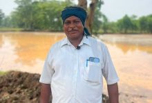 कम लागत में बेहतर उत्पादन और गुणवत्तापूर्ण फसल से बढ़ा आर्थिक लाभ