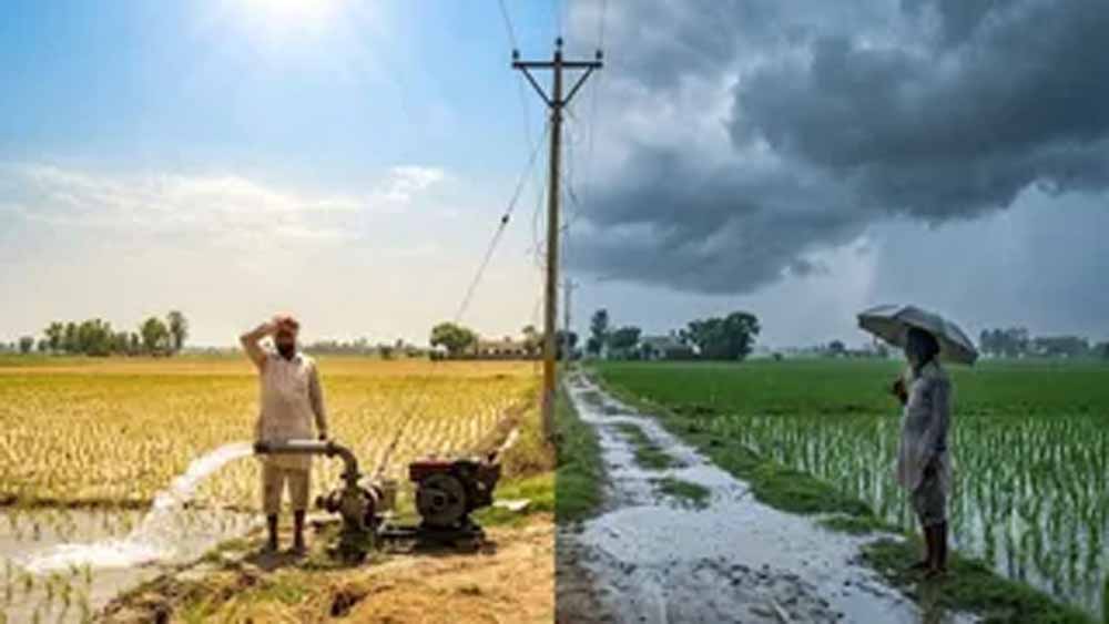 पंजाब सरकार का बड़ा ऐलान, 5 हजार करोड़ खर्च कर किसानों को 8 घंटे बिजली देगी सरकार