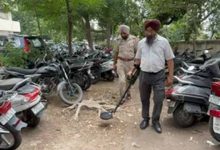पंजाब के पटियाला कोर्ट में बम धमकी से हड़कंप, ईमेल मिलने के बाद सुरक्षा एजेंसियां अलर्ट पंजाब के पटियाला कोर्ट में बम धमकी से हड़कंप, ईमेल मिलने के बाद सुरक्षा एजेंसियां अलर्ट
