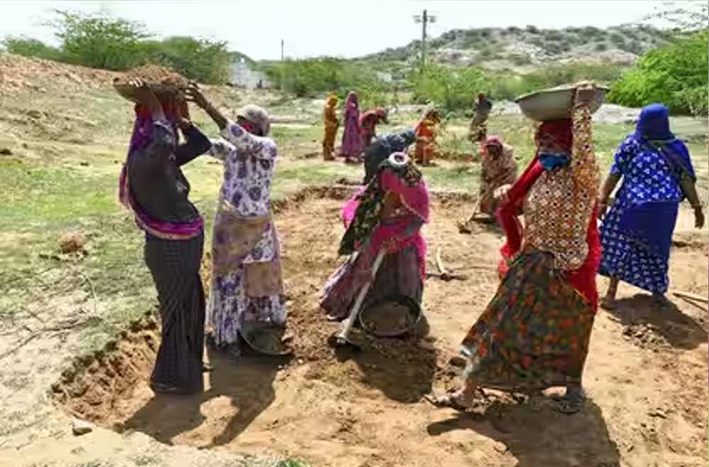 Punjab में लाखों श्रमिकों को झटका, 8 लाख+ जॉब कार्ड रद्द, 14 लाख अपात्र घोषित Punjab में लाखों श्रमिकों को झटका, 8 लाख+ जॉब कार्ड रद्द, 14 लाख अपात्र घोषित