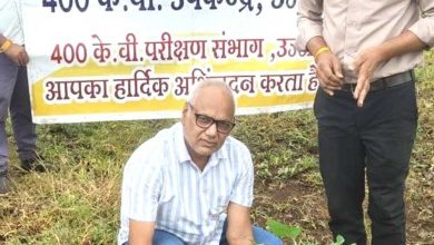 विश्व प्रकृति संरक्षण दिवस पर एमपी ट्रांसको के सब-स्टेशन में हुआ सामूहिक पौध-रोपण विश्व प्रकृति संरक्षण दिवस पर एमपी ट्रांसको के सब-स्टेशन में हुआ सामूहिक पौध-रोपण