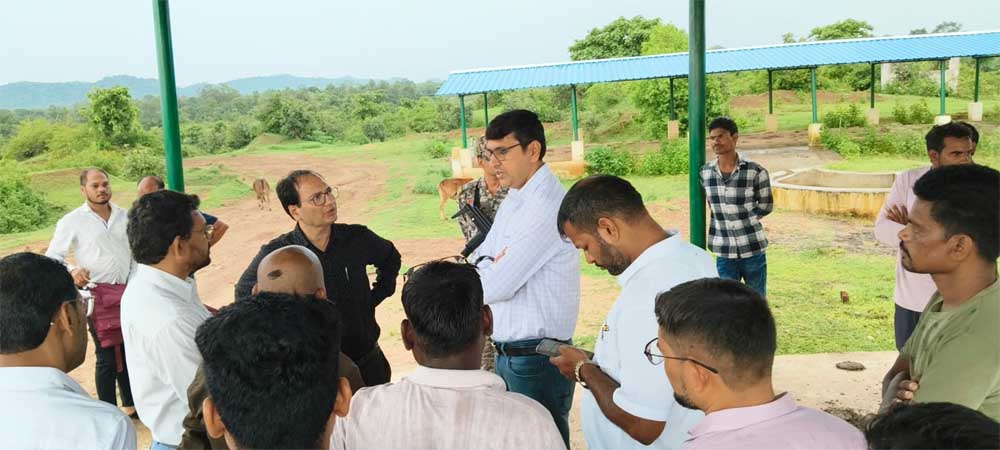 फेसिंग कार्य तत्काल प्रारंभ करने दिए निर्देश