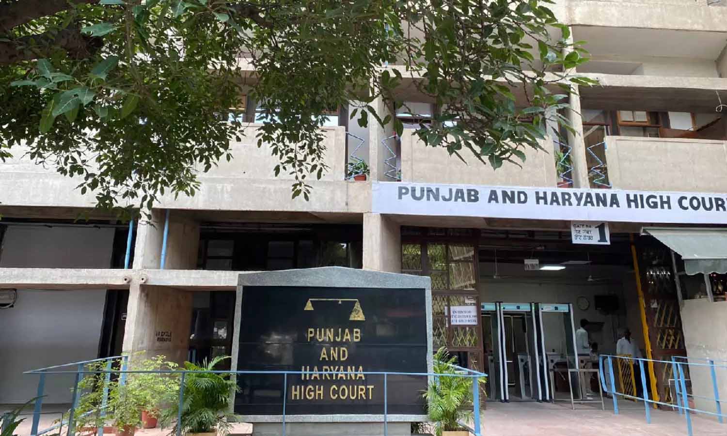 1999 जेबीटी भर्ती मामले में हाई कोर्ट का बड़ा फैसला, लंबित अपीलों का निपटारा