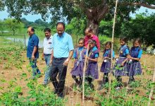 यूपी के पीएमश्री विद्यालयों में पढ़ाई के साथ होगी बागवानी की पढ़ाई, 49 स्कूलों को ₹20 हजार की मदद यूपी के पीएमश्री विद्यालयों में पढ़ाई के साथ होगी बागवानी की पढ़ाई, 49 स्कूलों को ₹20 हजार की मदद