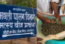 मैहर के पोड़ी केंद्र में किसानों की भीड़, 53 लाख से ज्यादा मछली के बीज बिके; 2027 तक 2.50 करोड़ का लक्ष्य