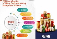 देश सेवा से उद्यम तक का सफर, PMFME योजना ने बदली सफलता की कहानी