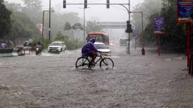 CG में झमाझम बारिश, बस्तर-नारायणपुर समेत कई जिलों में बरसे बादल