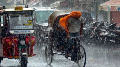 पंजाब-चंडीगढ़ में मौसम रहेगा मेहरबान, तापमान 1.6 डिग्री गिरा; 6 जिलों में यलो अलर्ट