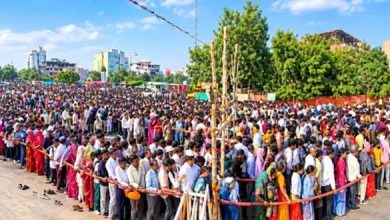 वायरल रील्स का असर: 3500 किलो मेहंदी लेने जयपुर पहुंचे श्रद्धालु