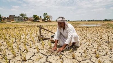 हरियाणा में कमजोर रहा मानसून, 413 की जगह सिर्फ 317.5 मिमी बारिश; तापमान बढ़ा