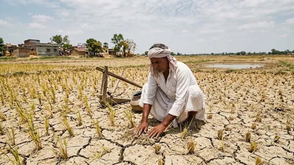 हरियाणा में कमजोर रहा मानसून, 413 की जगह सिर्फ 317.5 मिमी बारिश; तापमान बढ़ा हरियाणा में कमजोर रहा मानसून, 413 की जगह सिर्फ 317.5 मिमी बारिश; तापमान बढ़ा