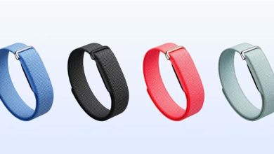 Google ने लॉन्च किया Fitbit Air, बिना स्क्रीन वाला फिटनेस बैंड; कीमत ₹13,999