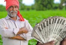 सब्जी-मसाले से फूलों तक खेती पर मिलेगी आर्थिक मदद, जानें किस फसल पर कितना अनुदान