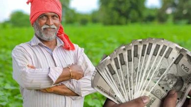 सब्जी-मसाले से फूलों तक खेती पर मिलेगी आर्थिक मदद, जानें किस फसल पर कितना अनुदान