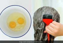 महंगे केराटिन-प्रोटीन ट्रीटमेंट छोड़िए! अंडे से बनाएं 5 होममेड हेयर मास्क, बाल होंगे मुलायम महंगे केराटिन-प्रोटीन ट्रीटमेंट छोड़िए! अंडे से बनाएं 5 होममेड हेयर मास्क, बाल होंगे मुलायम