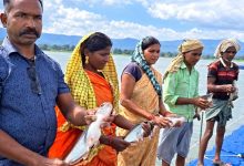 प्रधानमंत्री मत्स्य संपदा योजना से मल्हनिया जलाशय में बदली मछुआरों की जिंदगी