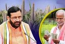 भावांतर योजना में बाजरे की खरीद ₹2900 प्रति क्विंटल